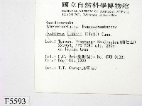 登錄號:F0005593藏品圖，第2張