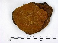 登錄號:F0005593藏品圖，第1張