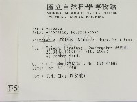 相鄰小孔菌藏品圖，第2張