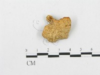 登錄號:F0005599藏品圖，第3張