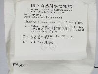 登錄號:F0005600藏品圖，第2張
