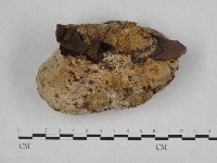 登錄號:F0005600藏品圖，第3張