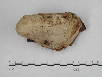 登錄號:F0005600藏品圖，第4張
