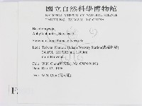 蠔韌革菌藏品圖，第2張