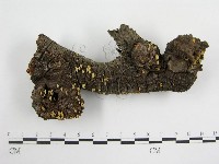 登錄號:F0005603藏品圖，第1張