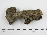 登錄號:F0005603藏品圖，第3張