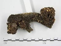 登錄號:F0005603藏品圖，第4張