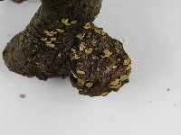登錄號:F0005603藏品圖，第8張
