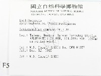 裂褶菌藏品圖，第2張