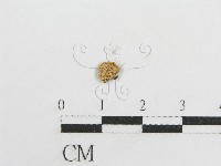 登錄號:F0005605藏品圖，第3張