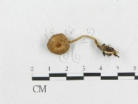 登錄號:F0005607藏品圖，第3張