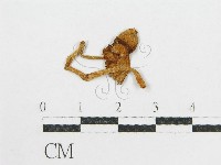 登錄號:F0005609藏品圖，第1張