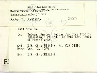 登錄號:F0005610藏品圖，第2張
