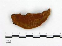 登錄號:F0005611藏品圖，第1張