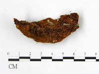 登錄號:F0005611藏品圖，第3張