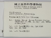 登錄號:F0005612藏品圖，第2張