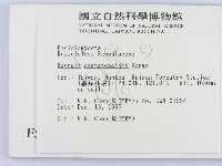 登錄號:F0005618藏品圖，第2張