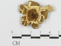 登錄號:F0005618藏品圖，第1張