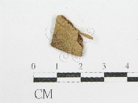 登錄號:F0005619藏品圖，第1張