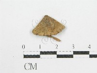 登錄號:F0005619藏品圖，第3張