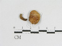 登錄號:F0005622藏品圖，第1張