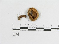 登錄號:F0005622藏品圖，第3張