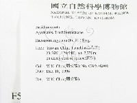 登錄號:F0005623藏品圖，第2張