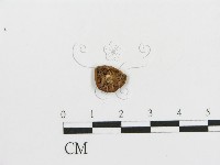 登錄號:F0005623藏品圖，第1張