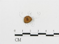 登錄號:F0005623藏品圖，第3張