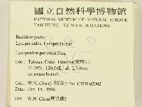 登錄號:F0005625藏品圖，第2張