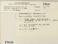登錄號:F0005626藏品圖，第2張
