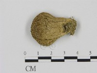 登錄號:F0005627藏品圖，第1張