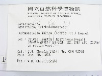 登錄號:F0005629藏品圖，第2張