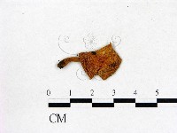 登錄號:F0005631藏品圖，第1張