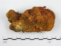 登錄號:F0005632藏品圖，第3張