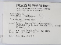 登錄號:F0005633藏品圖，第2張