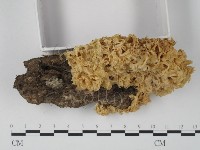 登錄號:F0005633藏品圖，第3張