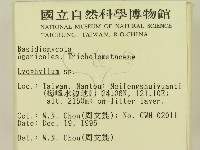 登錄號:F0005634藏品圖，第2張