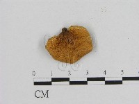 登錄號:F0005636藏品圖，第1張