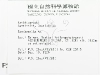 登錄號:F0005638藏品圖，第2張