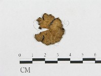 登錄號:F0005638藏品圖，第1張