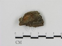 登錄號:F0005639藏品圖，第1張