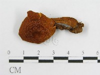 登錄號:F0005640藏品圖，第3張