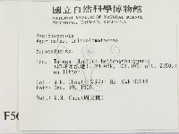 小皮傘屬藏品圖，第2張