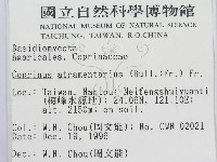 登錄號:F0005642藏品圖，第2張