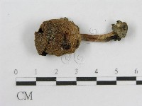 登錄號:F0005642藏品圖，第3張