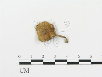 登錄號:F0005643藏品圖，第1張