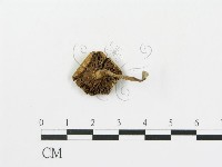 登錄號:F0005643藏品圖，第3張