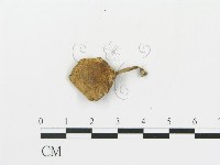 登錄號:F0005643藏品圖，第4張