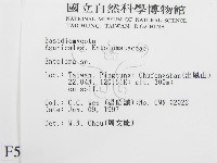 粉褶菌屬藏品圖，第2張